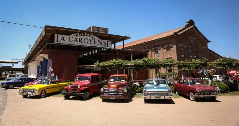 Bodega La Caroyense – Turismo Colonia Caroya
